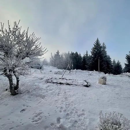 Holiday home The Edelweiss- Renovated For 4 People!